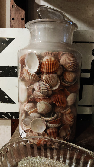 transparent jar or bottle full of seashells