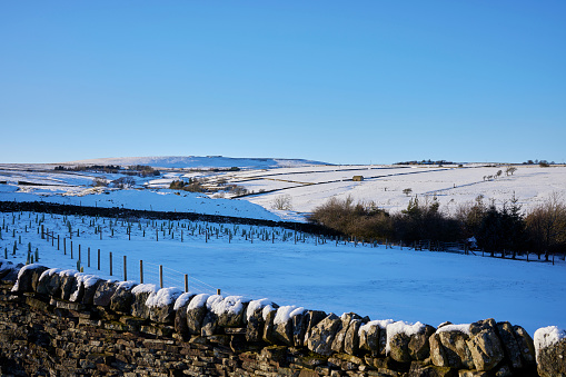 Moorhouses, January and the morning after a sudden fall of snow in Nidderdale. North Yorkshire.