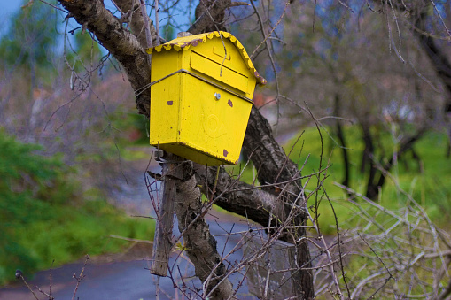 a yellow mailbox, letterbox, hanging in a tree in the backcountry of La Palma, Canary Islands, Spain, Europe