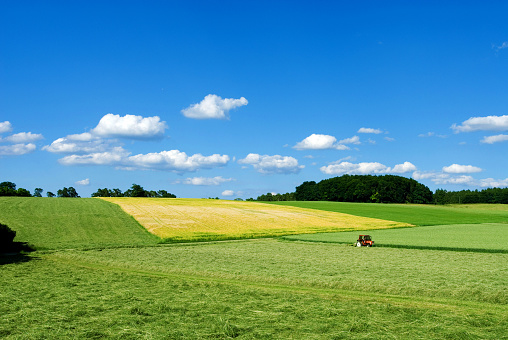 Landscape with meadows and grain fields, near Altmühltal, farmer mowing a meadow with a tractor, making hay, blue sky, white clouds, Bavaria, Germany, Europe