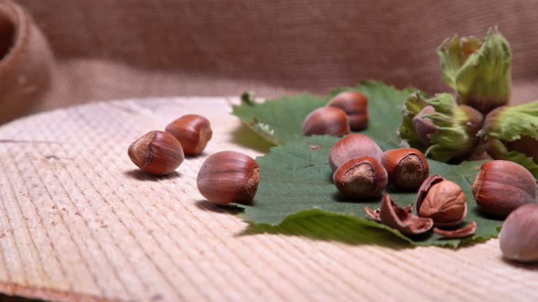 Pile Of Hazelnuts Rotating On A Wood Log