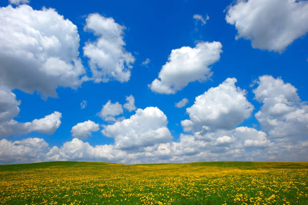 white fair weather clouds, cumulus humilis, in the blue sky - cumulus humilis imagens e fotografias de stock