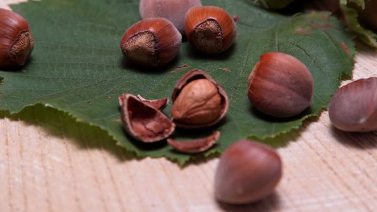 Pile Of Hazelnuts Rotating On A Wood Log