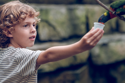 Side view of cute kid with curly blond hair feeding colorful parrot from plastic cup while standing against stone wall in zoo