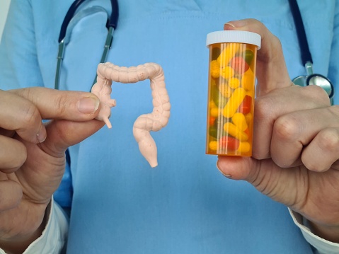 Intestinal tract and tablets in the hands of doctor with model of intestines. Medicines for digestive system