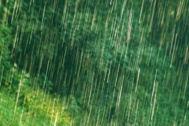 istock many bright raindrops of a rain shower, motion blur 1963030243