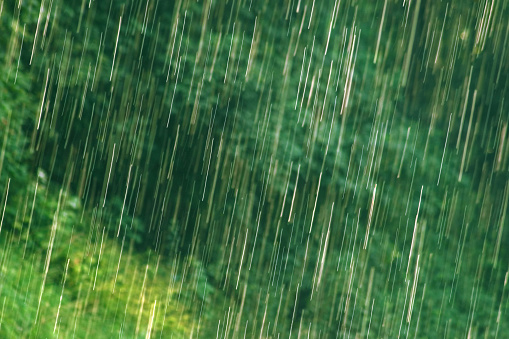 many bright raindrops of a rain shower against green background, motion blur
