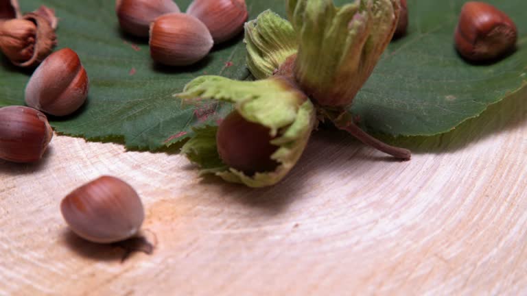 Pile Of Hazelnuts Rotating On A Wood Log