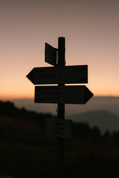 istock Directional signs pointing in multiple directions silhouette at sunset 1963033040