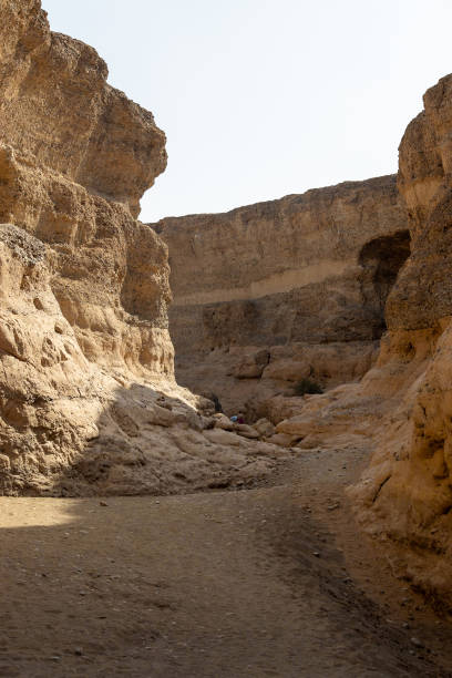 istock Rugged desert pathway winds through towering canyon walls in Namibia, Luderitz 1963034427