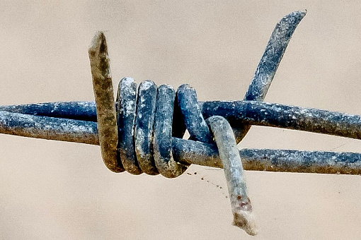 Closeup of a barbed wire knot in bright sunlight.