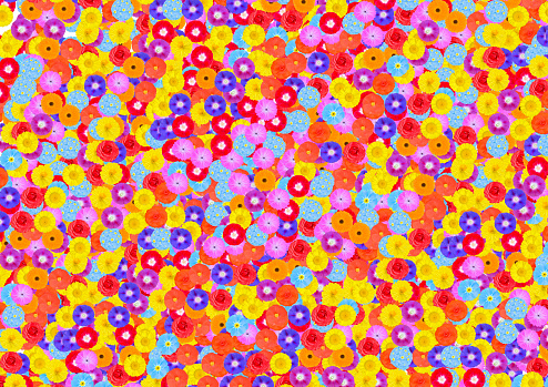 Background of many coloured flowers, yellow, red, orange, light blue, violet, pink, purple