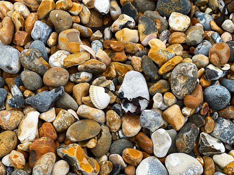 Colourful stones and shell on a shingle beach at Bexhill on Sea