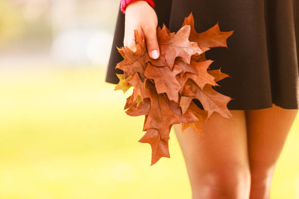 Young woman walking in autumnal park, holding oak leaves in hand. Beautiful sunny autumnal day.