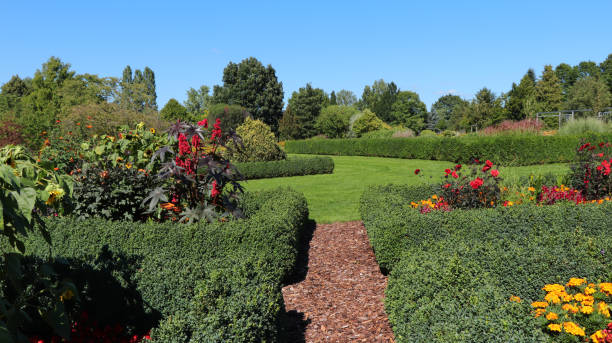 istock Herb and flower garden 1963102873