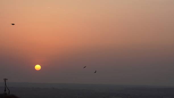 istock view of birds flying at sunset 1963118389