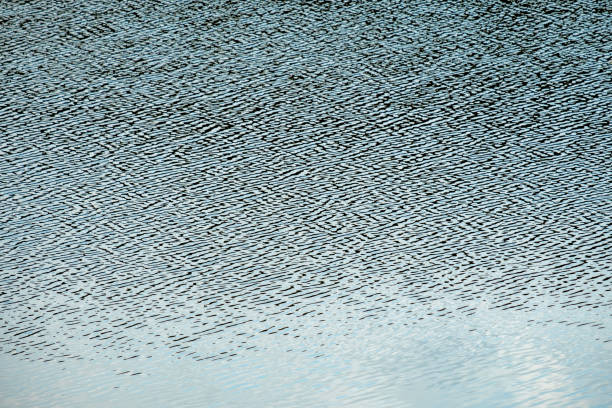 rippled water green color