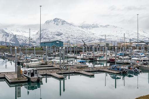 Valdez marina with snow and cloud covered mountains behind, Valdez, Alaska, USA