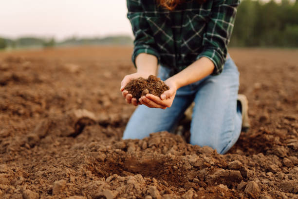 istock Farmer hands touching soil on the field. 1963188282