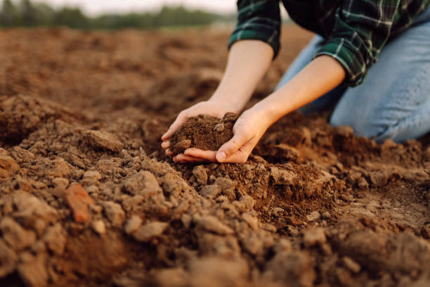istock Farmer hands touching soil on the field. 1963188285