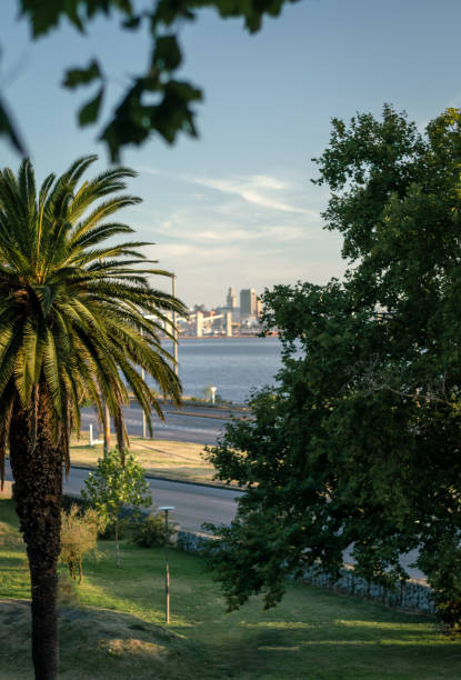 Montevideo city landscape. - foto de stock