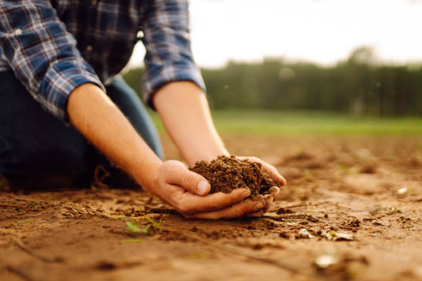 istock Male hands touching soil on the field. 1963211479