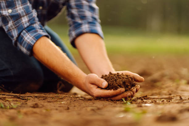 istock Male hands touching soil on the field. 1963211488