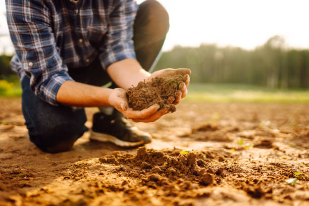 istock Male hands touching soil on the field. 1963211494