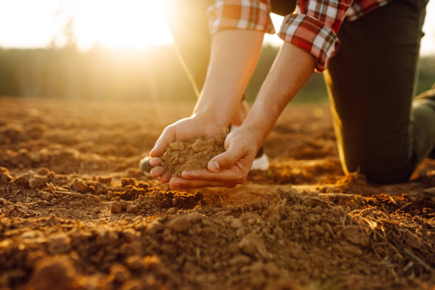 istock Male hands touching soil on the field. 1963213591