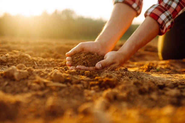 istock Male hands touching soil on the field. 1963213593