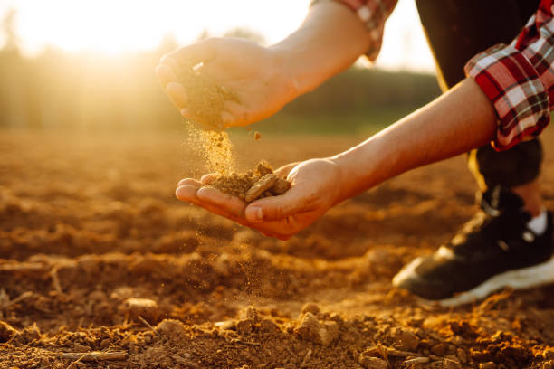 istock Male hands touching soil on the field. 1963214098