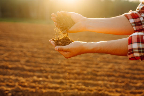 istock Male hands touching soil on the field. 1963214108