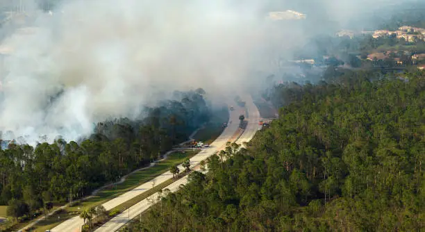 Aerial view of fire department firetrucks extinguishing wildfire burning severely in Florida jungle woods. Emergency service firemen trying to put down flames in forest.
