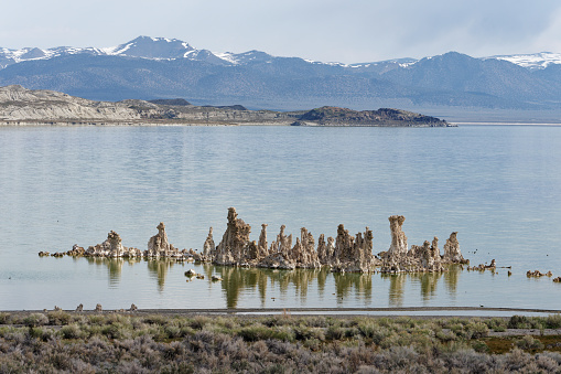 Limestone Tufa formations arise from Mono Lake California