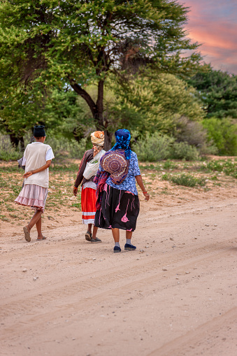 three basarwa african woman strolling on a dirt road to get to the traditional village