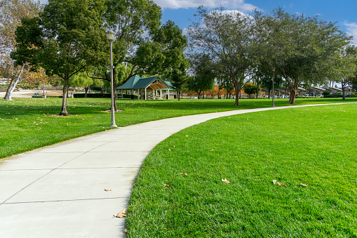 Concrete walking path with green grass in a public park