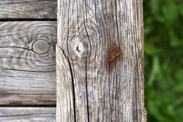 old wood fence with unfocused green grass as a summer countryside background