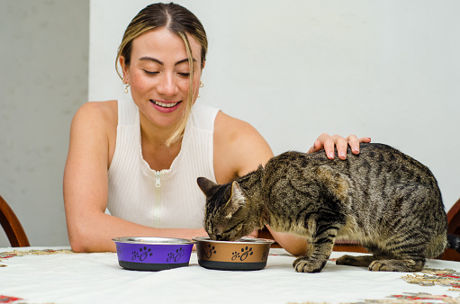 beautiful young woman feeding her cat inside the apartment