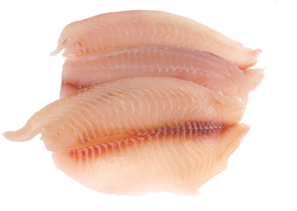 istock fresh raw tilapia fish fillet isolated on white background 1963428858