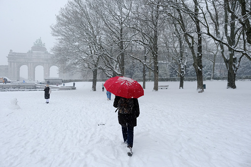 People enjoy the snow in Cinquantenaire Park after heavy snowfall hit Brussels in Belgium on January 17, 2024.