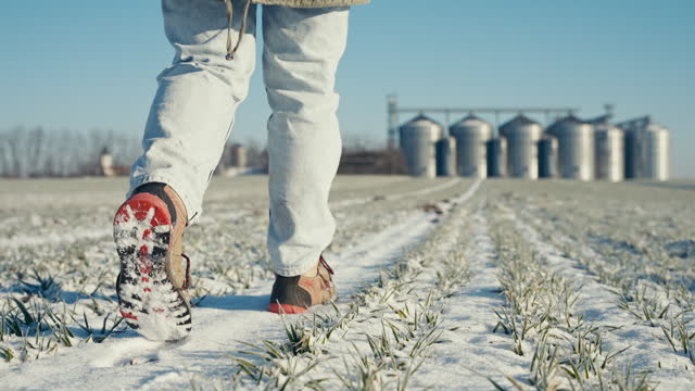 Closeup Low Section of Female Farmer in Shoes Walking Towards Silos on Snowy Field Under Sunny Sky