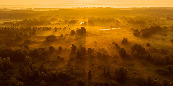 Morning landscape aerial view. Spring nature