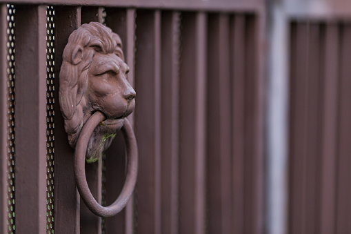 A metal gate to a house with a lion head with a ring in his mouth for knocking