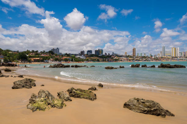 istock Rocks at Ponta Negra Beach 1963471277