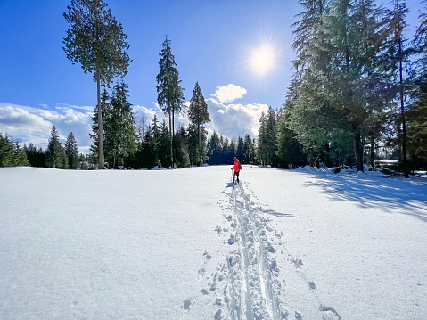 Senior 60+ man nordic skiing through fresh, deep snow.  North Vancouver, British Columbia, Canada.