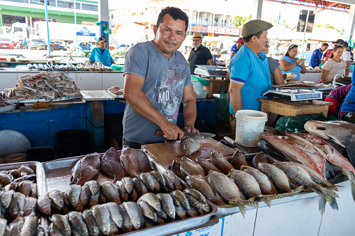 Santarem, Para, Brazil - Jan 18, 2024: Fishmongers at the Municipal Market. Local fish vendors display a array of freshly fish at the bustling market, offering the bounty of amazon rivers.