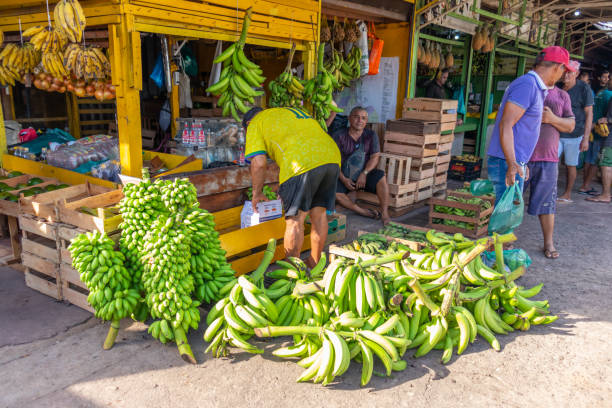Santarem, Para, Brazil - Jan 18, 2024: Municipal Market fresh produce stand. The vibrant display of fruits, vegetables, and greens at local market, showcasing the richness of Amazonian agriculture.