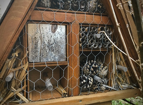Ein aus Holz gebautes Heim für Insekten in einer Nahaufnahme