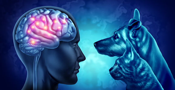Pets and Dementia Therapy and improved Brain health and mood or social interaction as psychology benefit with pet therapies as a concept to help with psychological and psychiatric depression.