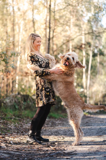 istock Woman playing with her dog on the forest 1963580269